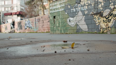 people passing by through concrete streets near the brick wall of colorful animal graffitis after the rain in slowmo