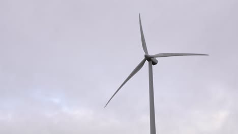 solo wind turbine rotating in front of overcast sky generating renewable electricity