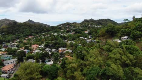 Exuberante-Selva-Granadina-Con-Casas-Dispersas,-Durante-El-Día,-Vista-Aérea