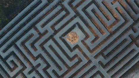 aerial view of a vineyard maze