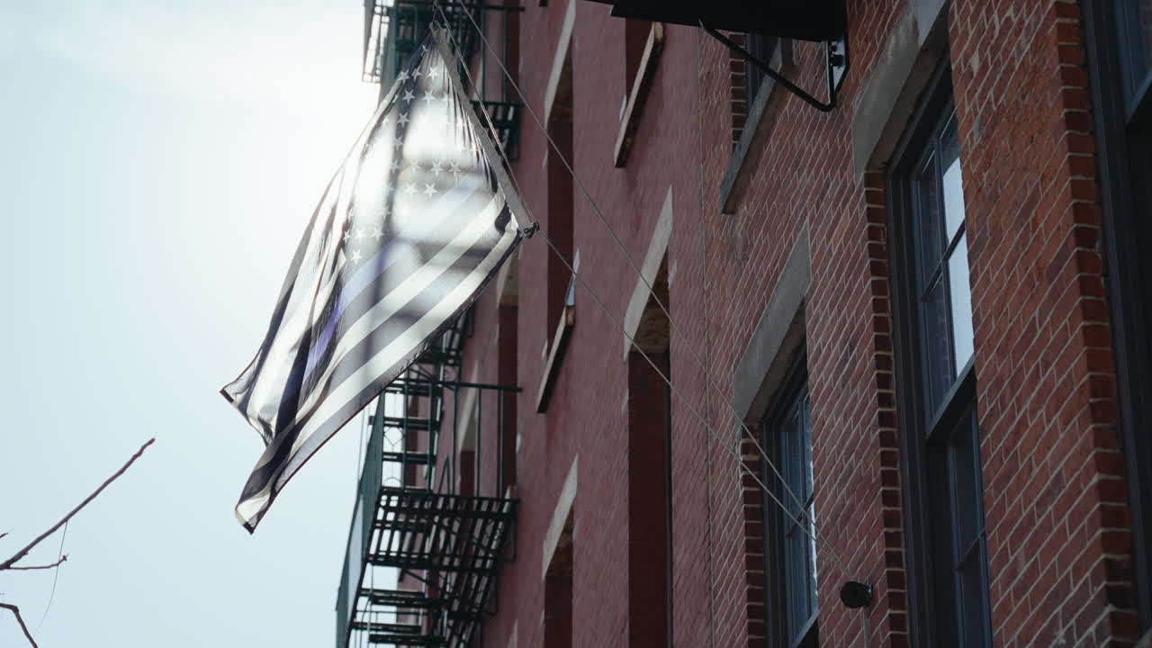 Urban Building with Flags