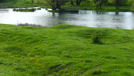 Vollwasserfluss.-Saftig-Grünes-Gras.-Frühlingslandschaft