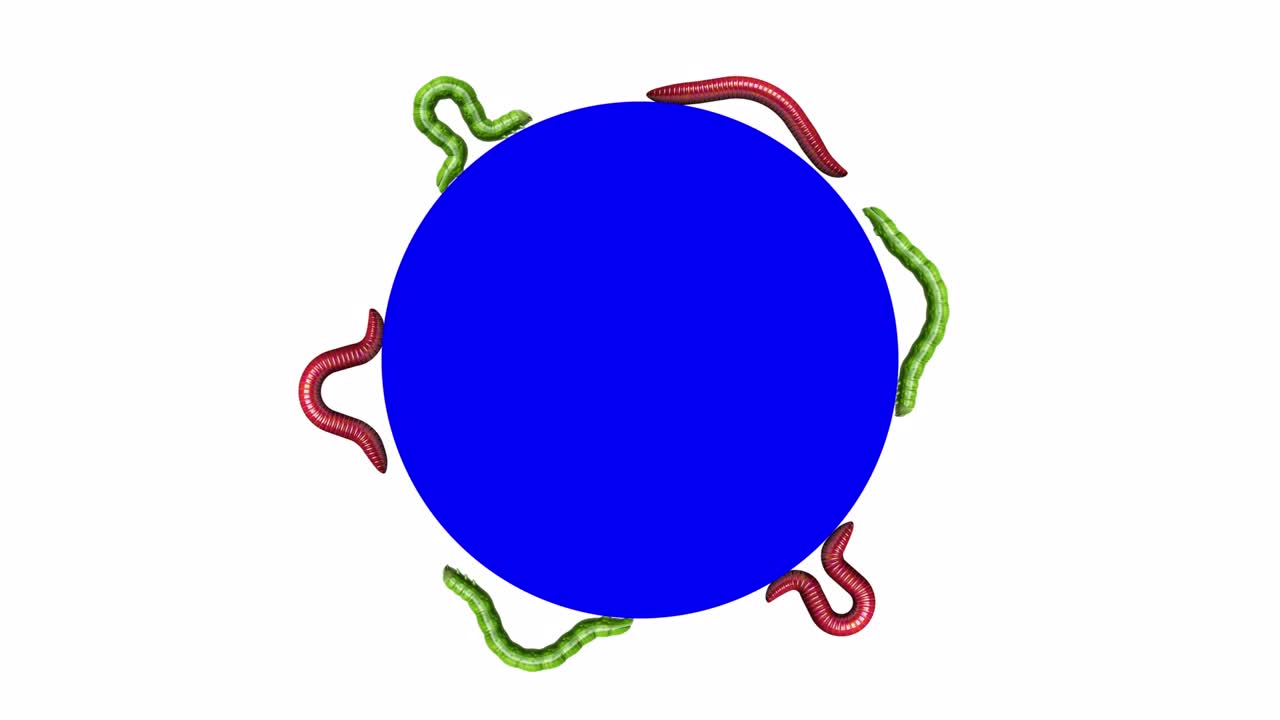 파란 원의 애벌레와 벌레, 루핑 3d 애니메이션
