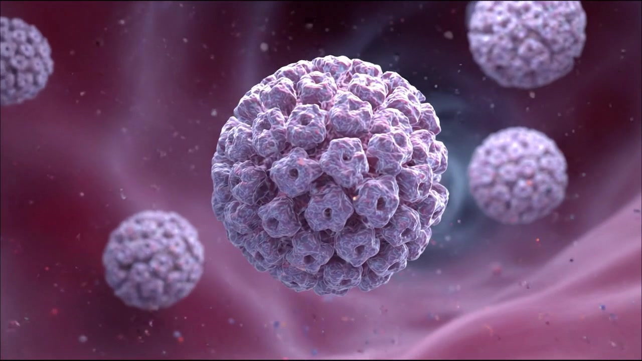 Vista microscópica de células del Virus del Papiloma Humano flotando en el torrente sanguíneo