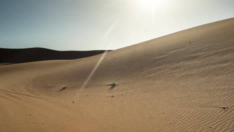 merzouga in the sahara desert in morocco