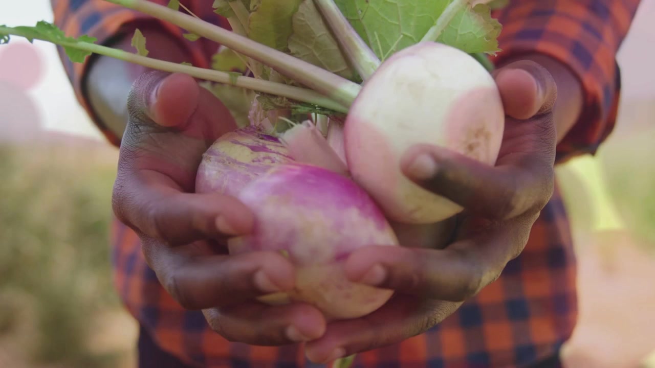 Farmer holding turnips on farm, animated red circles drifting and causing zoom to highlight bulbs