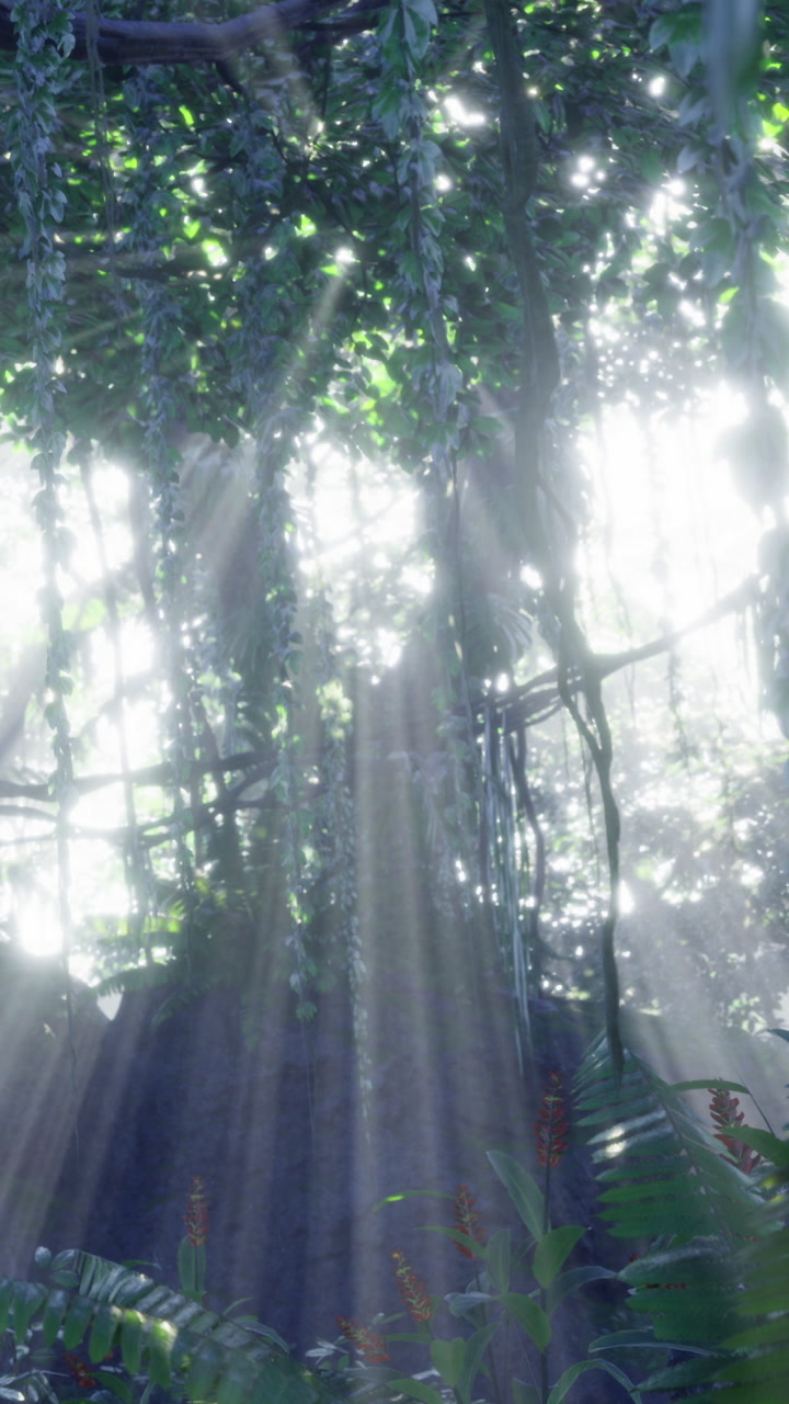 Sinar matahari menembus pepohonan di hutan saat pagi yang cerah.