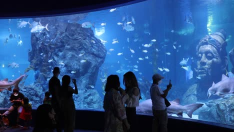 visitors interacting with sea life at a large aquarium