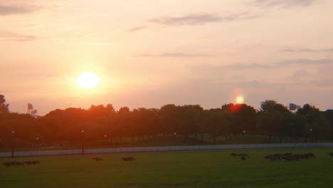 sunrise over watergate park in louisville kentucky