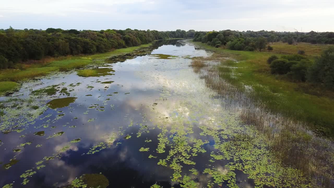toma aérea de pájaros volando sobre un río que refleja el cielo pacífico en el agua