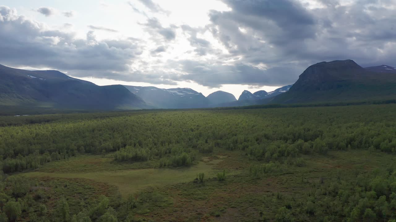 tomada de avión no tripulado de la naturaleza sueca en verano en escandinavia con cielo nublado