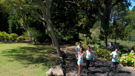 marathon athletes running in the park 4k
