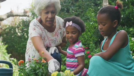 happy senior african american grandmother with granddaughters working in garden