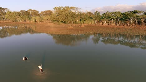 altagracia lagoon, higuey in dominican republic