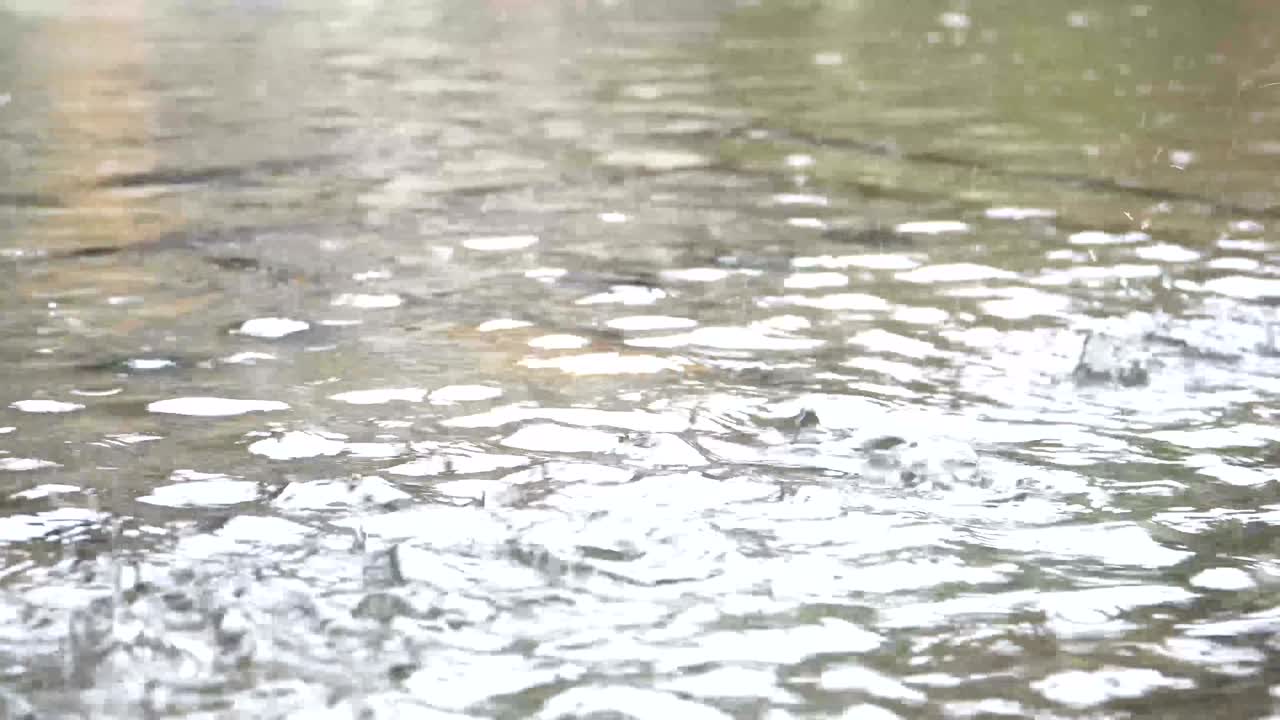 표면에 파동 효과를 가진 표면에 비가 내리는 것