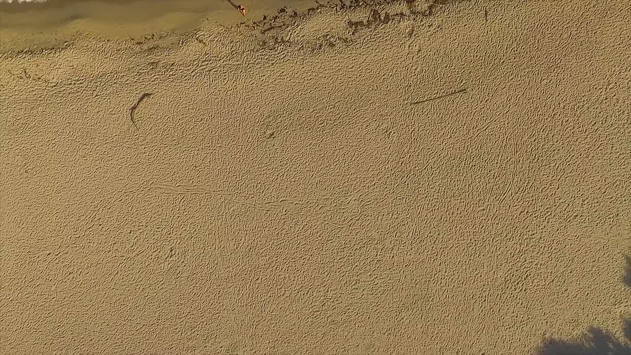 모래 모래 마이애미 해변, 파도가 부드럽게 해안을 는, 조용하고 조용한, 공중 전망, 미국