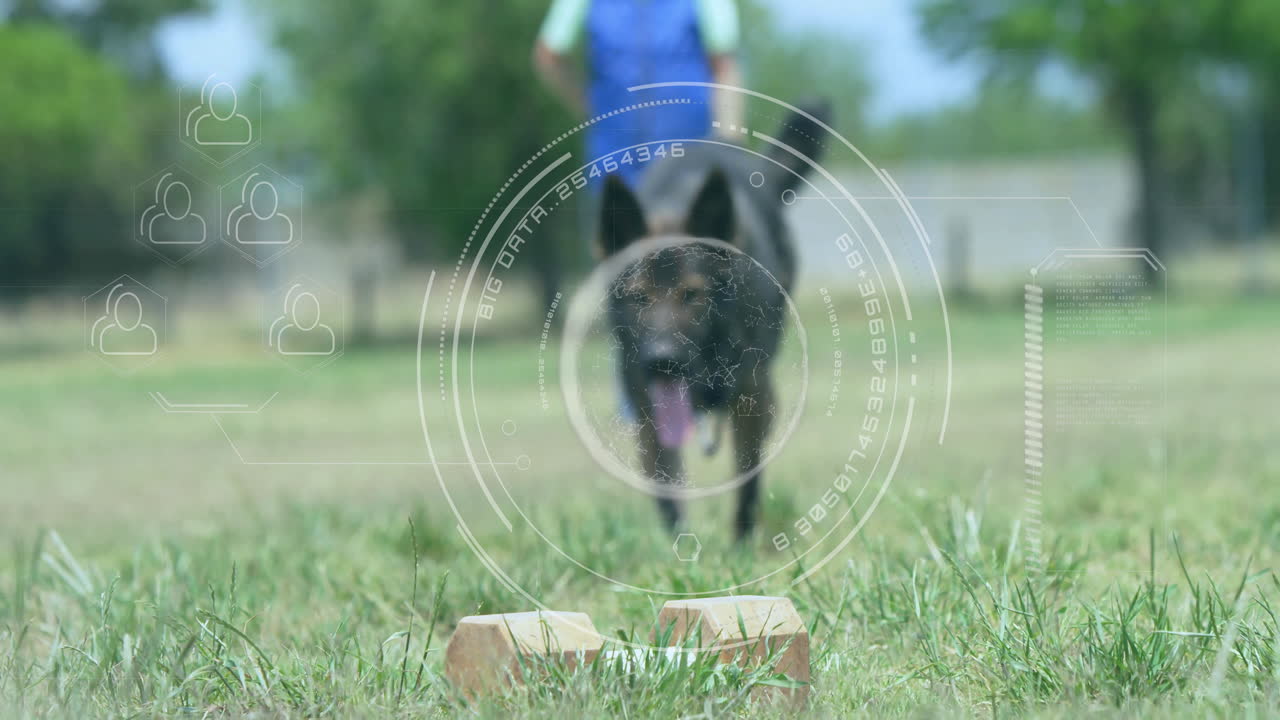 Running on grass, dog approaching wooden blocks with digital animation overlay