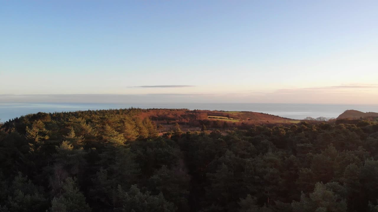 Warm sunlight illuminating Mutters Moor forest landscape during golden hour with North Sea coast on background. Aerial Rising Shot