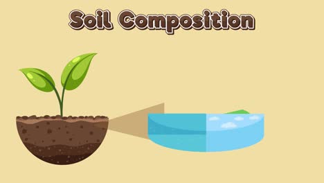 animación educativa sobre las capas del suelo y la salud de las plantas