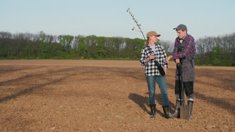 dos personas plantando un árbol joven en un campo