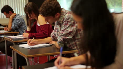 concentrating students sitting an exam in a classroom