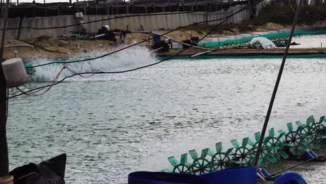 shrimp farm with spinning water turbines. static shot