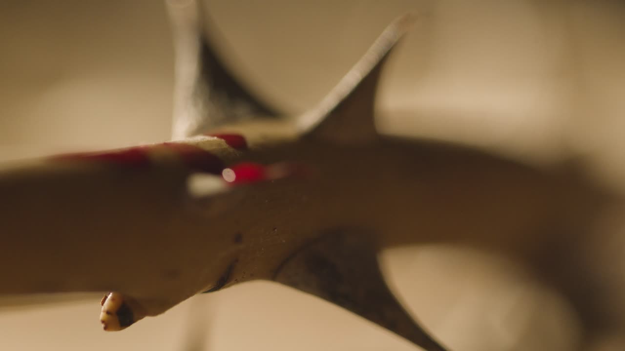 가시 2의 면류관에 피 방울을 가까이서 촬영한 종교적 개념