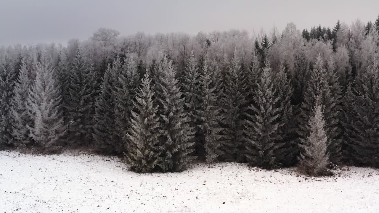 Winter's icy beauty. Aerial drone shot of frozen forest. Hoar frost on pine trees. Freezing cold weather in countryside.