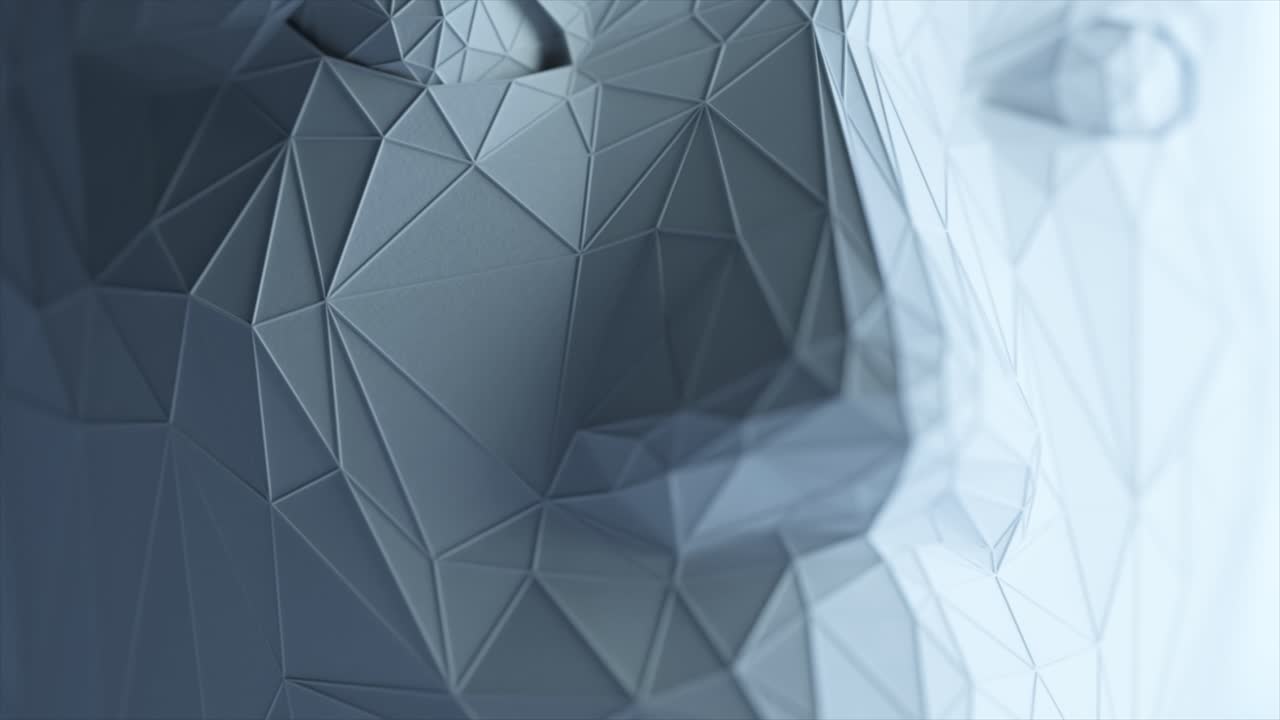 Abstract Low Poly Face