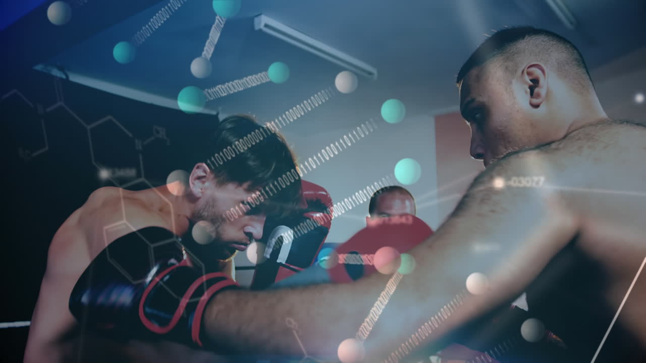 경기 중의 권투 선수들과의 데이터 처리 애니메이션