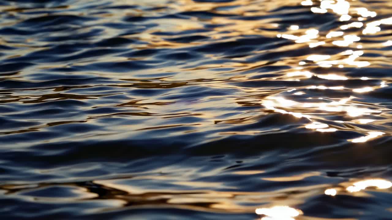 A close-up video of shimmering water surface at sunset, capturing gentle ripples and golden