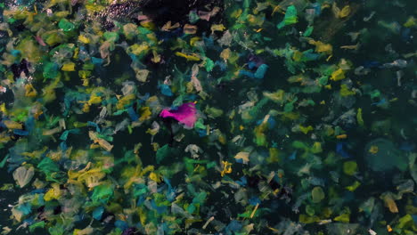 impressive scene of garbage floating on sea waters