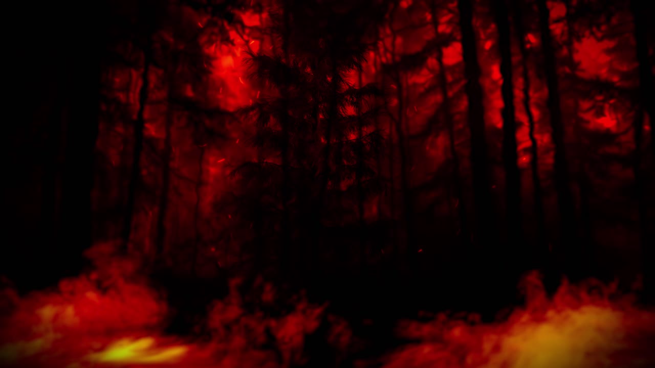 Inferno in the Forest: Trees Consumed by Flames and Shrouded in Thick, Rolling Smoke