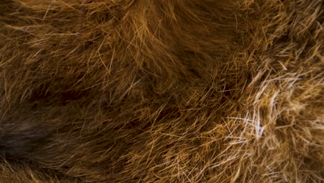 the brown thread of the cloth fabric on the table