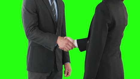 Business-people-handshaking