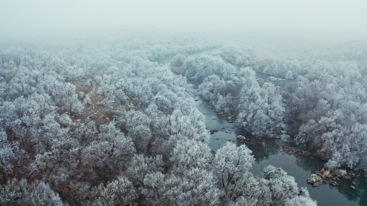 Forest in winter. River among white trees covered with snow. Blur background. Camera rising up. Aerial view.