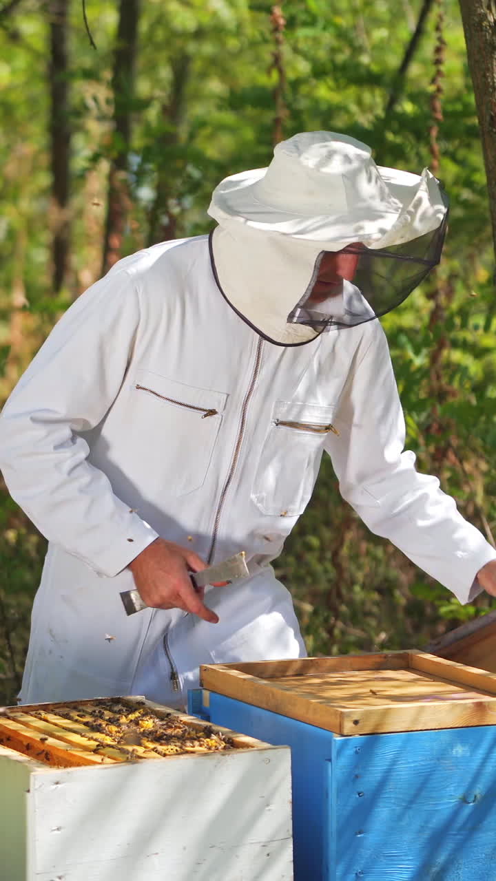 Apiary in forest. Beekeeper in protective suit and hat examining hives among beautiful green nature. Male apiarist working near wooden beehives. Vertical video