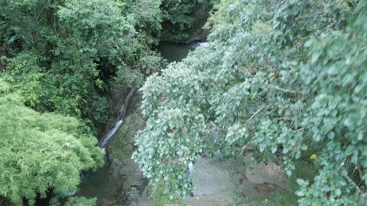 캐리비안 토바고 섬에서 크레이그 홀 폭포 오름차순 무인 항공기보기