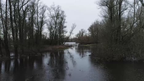 fast backward going drone shot of swamp like water with trees