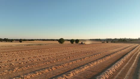 harvester and tractor harvesting cereal crops on farm land