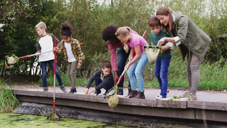 Erwachsene-Teamleiter-Zeigen-Einer-Gruppe-Von-Kindern-Im-Outdoor-Aktivitätscamp,-Wie-Man-Das-Leben-Im-Teich-Fängt-Und-Studiert