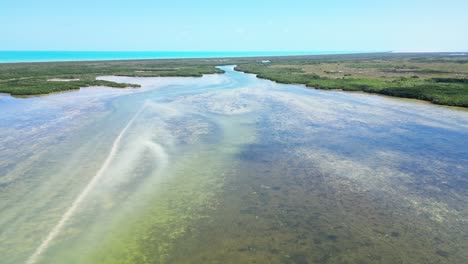 scenic aerial view of rio lagartos, yucatán, mexico, with clear waters and mangroves