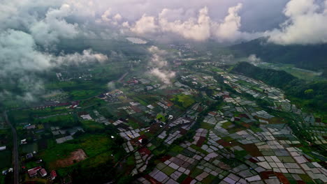 rural area of indonesia with many rice fields, high angle aerial view