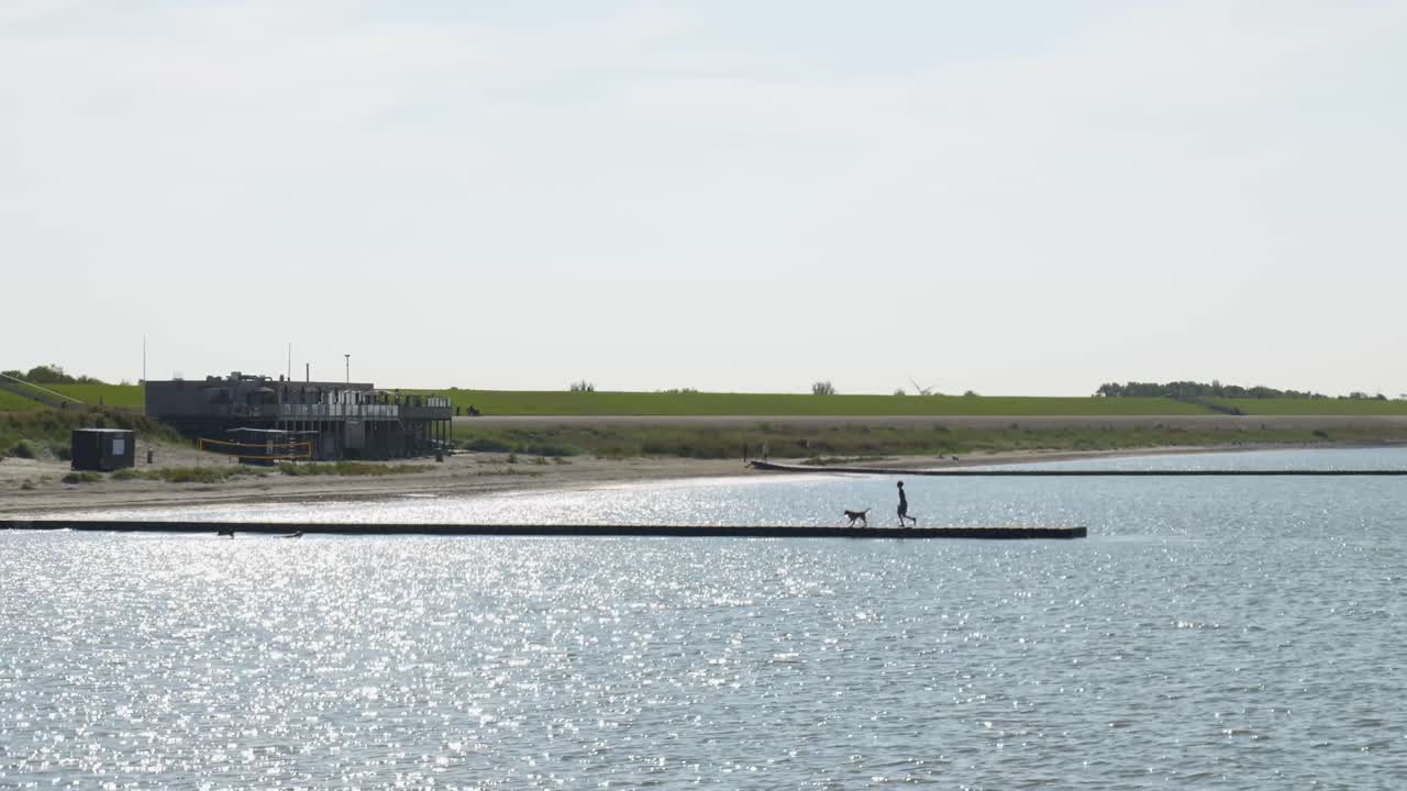 сцена на пляже с человеком и собакой на пирсе