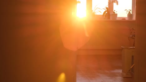 A Woman Wipes the Dust in the Room with a Wet Mop Against the of Beautiful Sunlight. A woman wipes the dust in the room with a wet mop against the of beautiful sunlight. Cleanliness and hygiene of the house