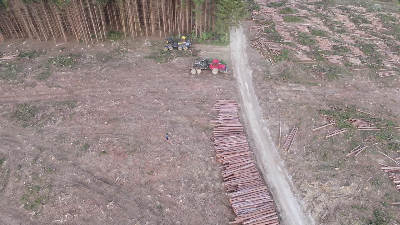 Aerial View of a Forest Logging Operation