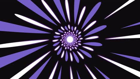 abstract animation with rounded purple lines looped spherical elegant background