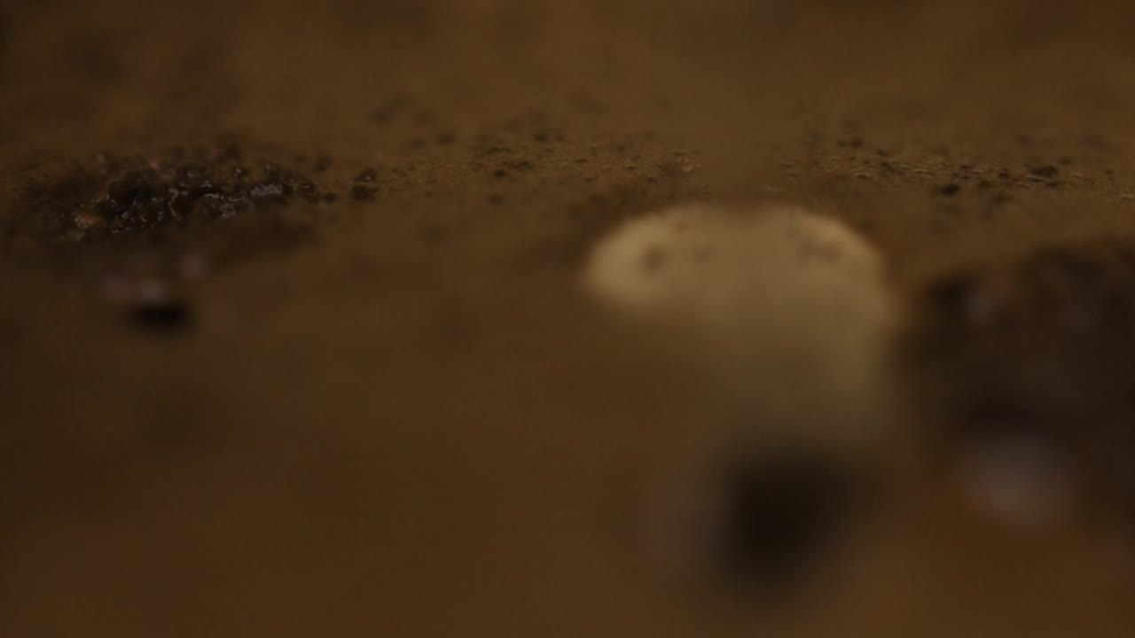 Bubbles from freshly brewed coffee gassing off