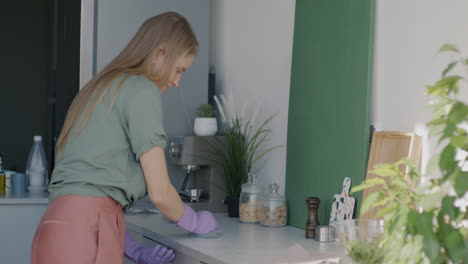 mujer limpiando el mostrador de la cocina