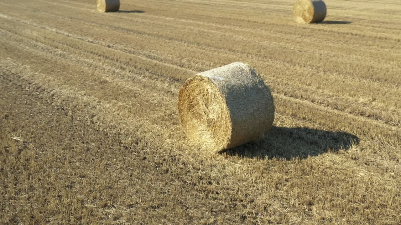 vista en círculo de la bala redonda de paja en el campo agrícola